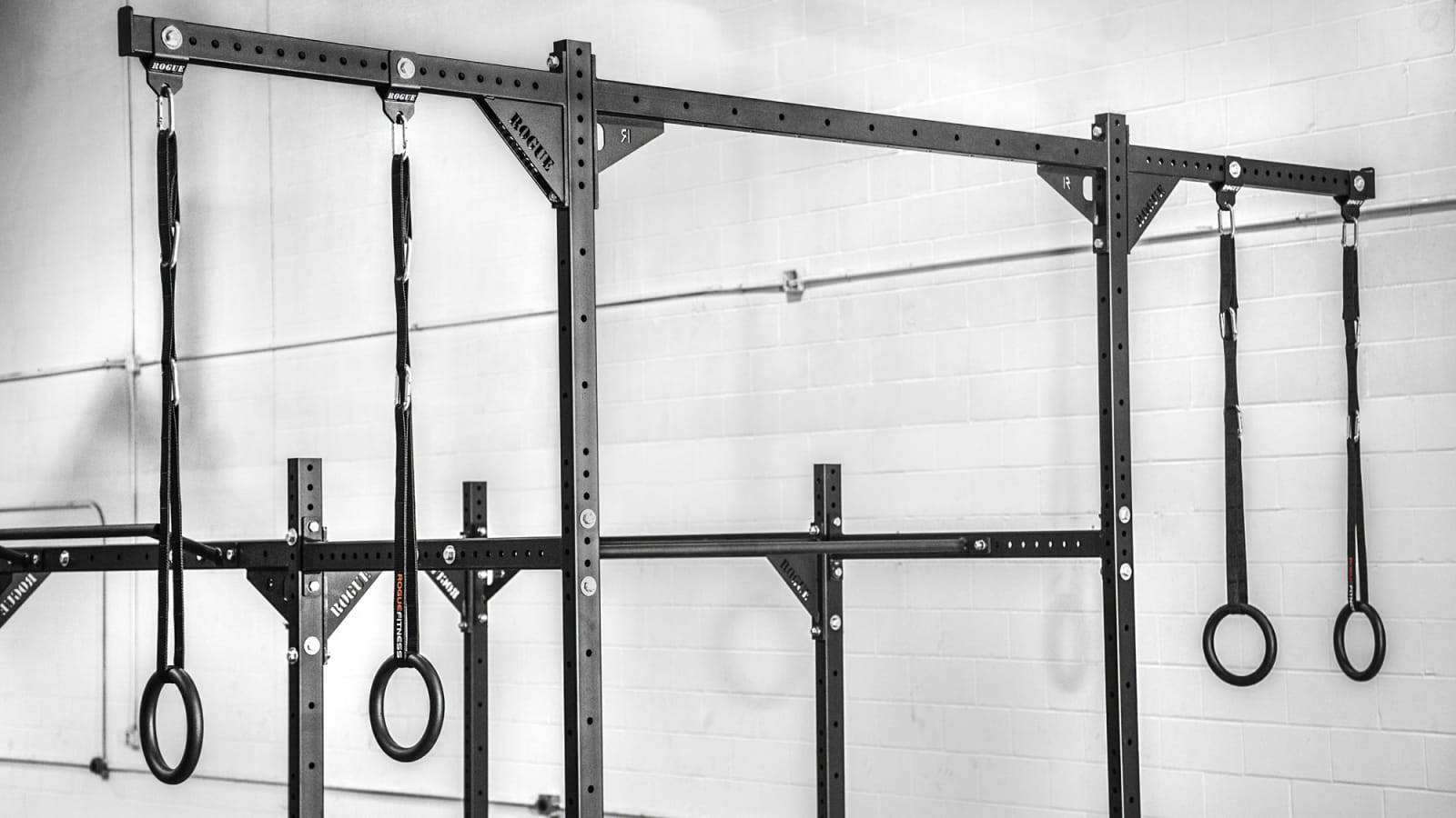 Rogue rigs store